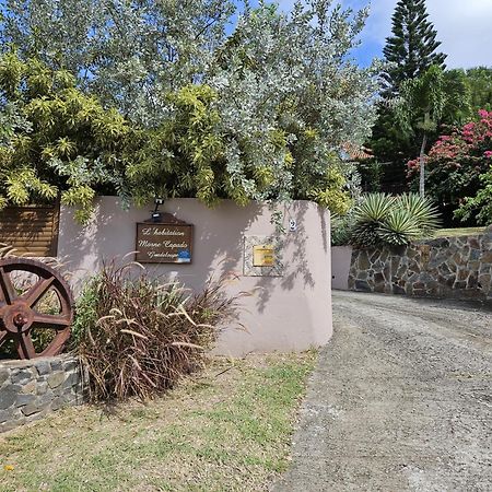 Villa Habitation Capado Deshaies Exterior foto